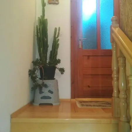 Душанов Конак Skelani