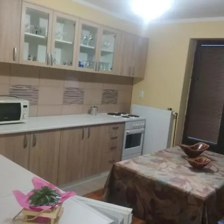 Душанов Конак 아파트 *